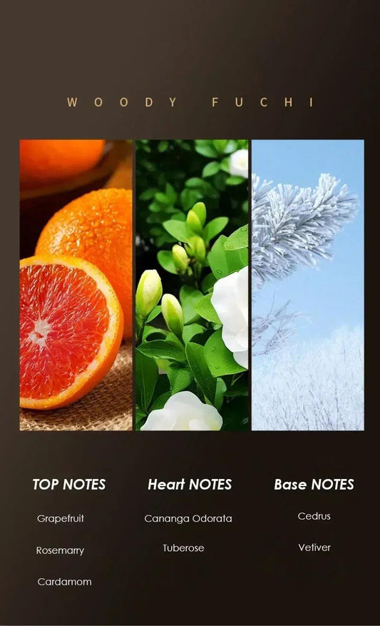 Top Selling Brand Eau De Toilette for Men - Fresh Romantic Fougere Scent Woody Notes 50ml Cologne Perfume Long Lasting - MANDOTOS